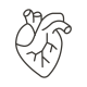 Cardiovascular